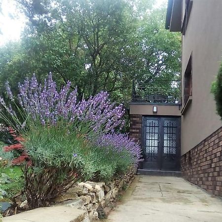 Apartman V Zahrade Praha Troja - Apartment In The Garden Prague Troja Exterior foto